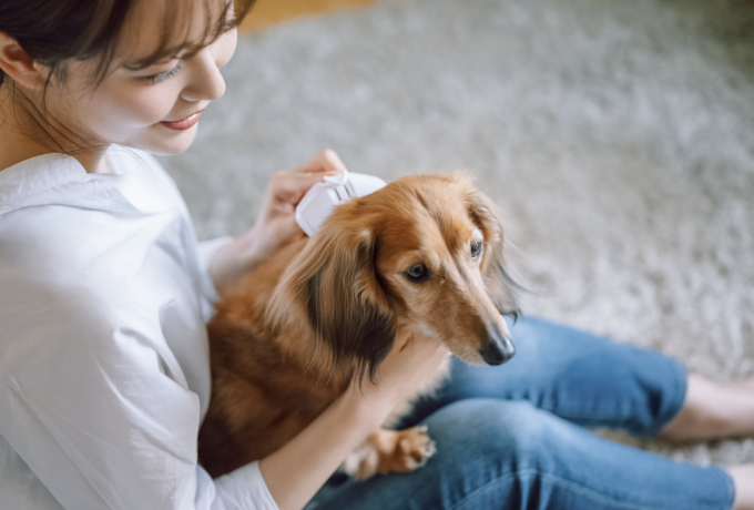 パートナーとして、生涯を共にする家づくり