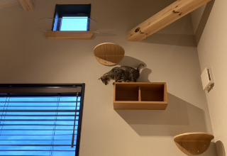  キャットウォーク高低差を活かした設計