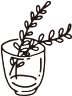キャンペーン情報