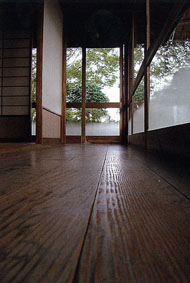 ECO-House