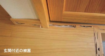 Jotoサポートシステム