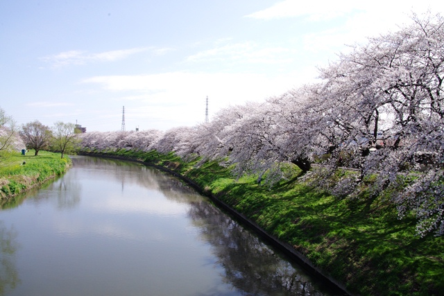 越谷市,注文住宅,子育て支援