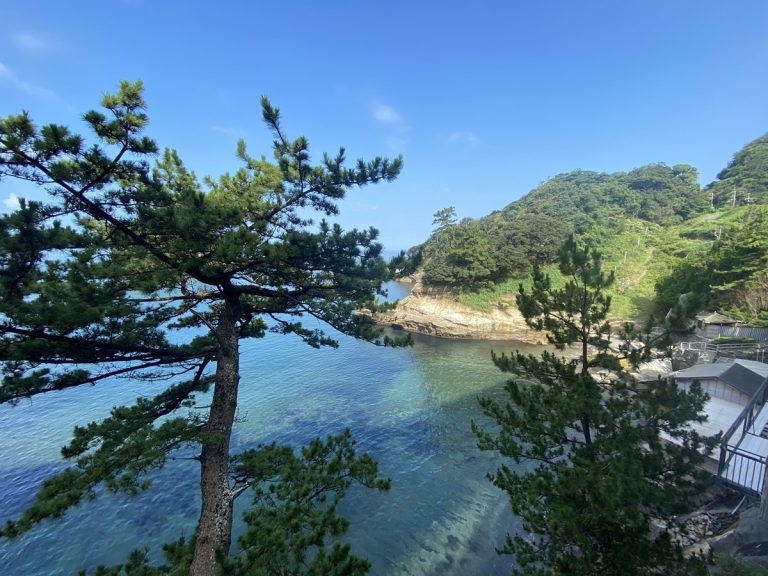 金内　俊一郎／短い夏休みの思い出