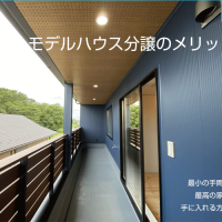 モデルハウス分譲