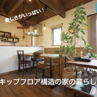 スキップフロア構造の家BinO