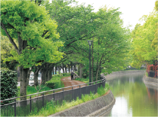 越谷市　逆川緑道