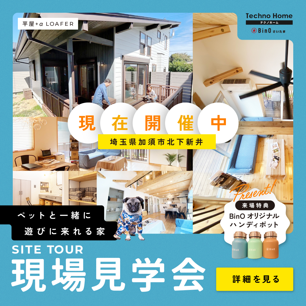 「平屋＋αのLOAFER」ペットと入れる見学会開催！ アイチャッチ