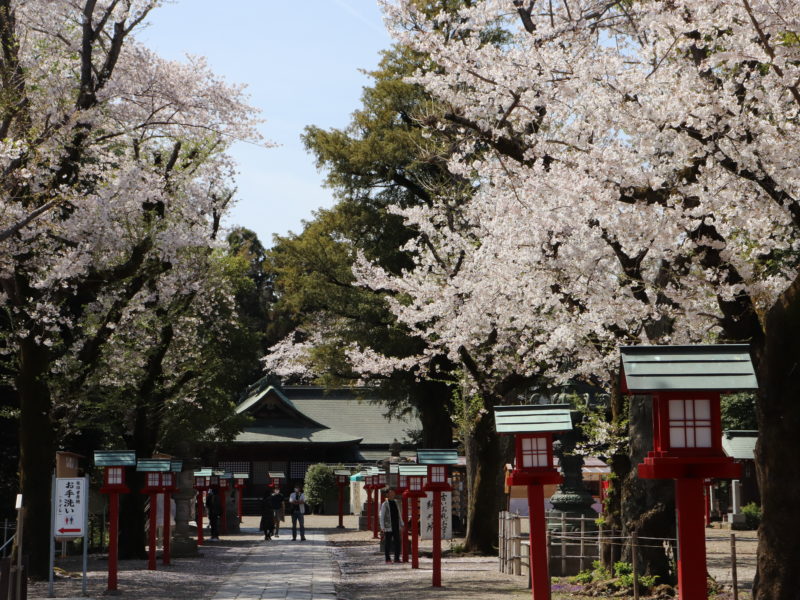 鷲宮神社