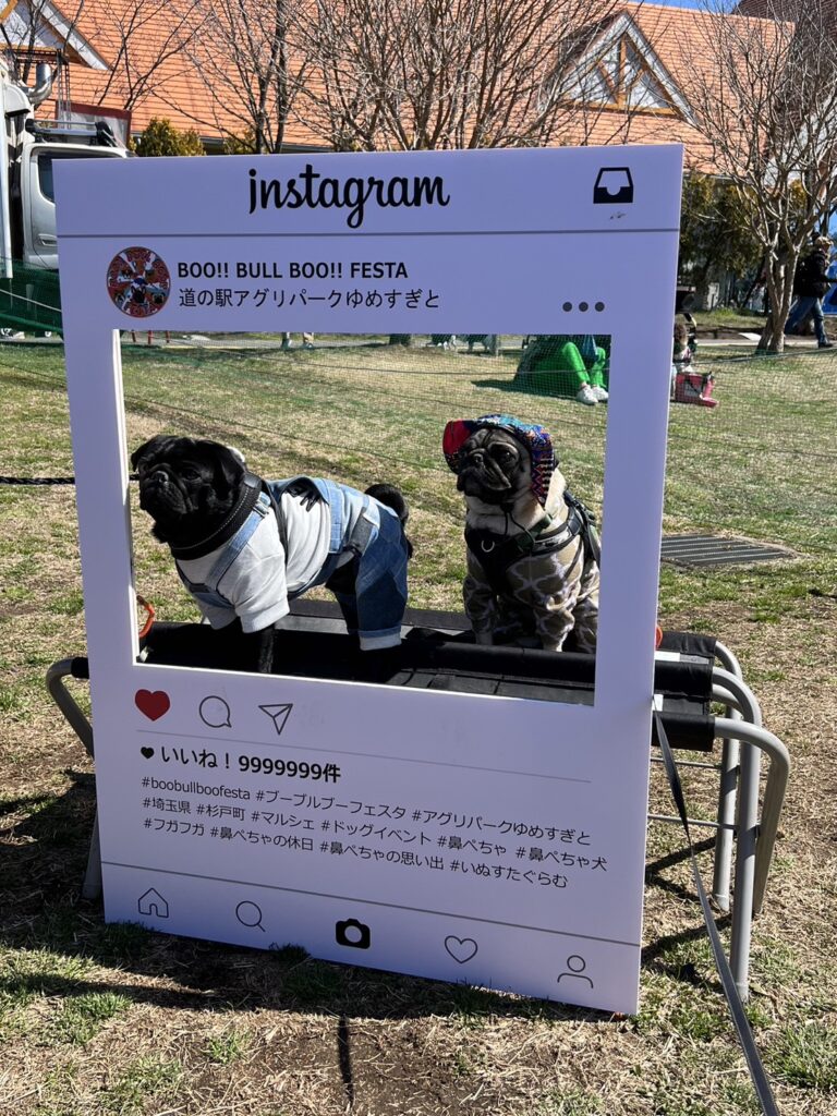 かばやきくんと鼻ぺちゃイベント　｜　コーディネーター責任者　佐々木萌美