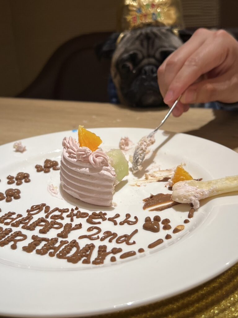 かばやきくん2歳の誕生日旅行（1日目①）　｜　コーディネーター責任者　佐々木萌美