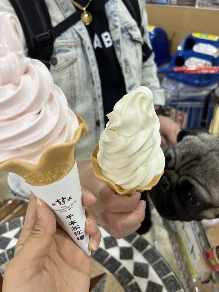かばやきくん2歳の誕生日旅行（2日目）　｜　コーディネーター責任者　佐々木萌美