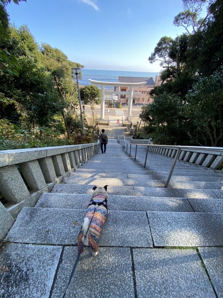 かばやきくんと大洗磯前神社　｜　コーディネーター責任者　佐々木萌美